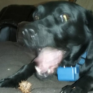 Meet your Posher, Kendra